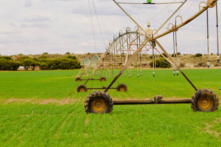 Agribusiness Development