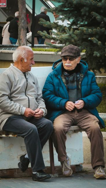 Social Insurance Retirement