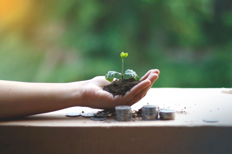 Sustainability Csr