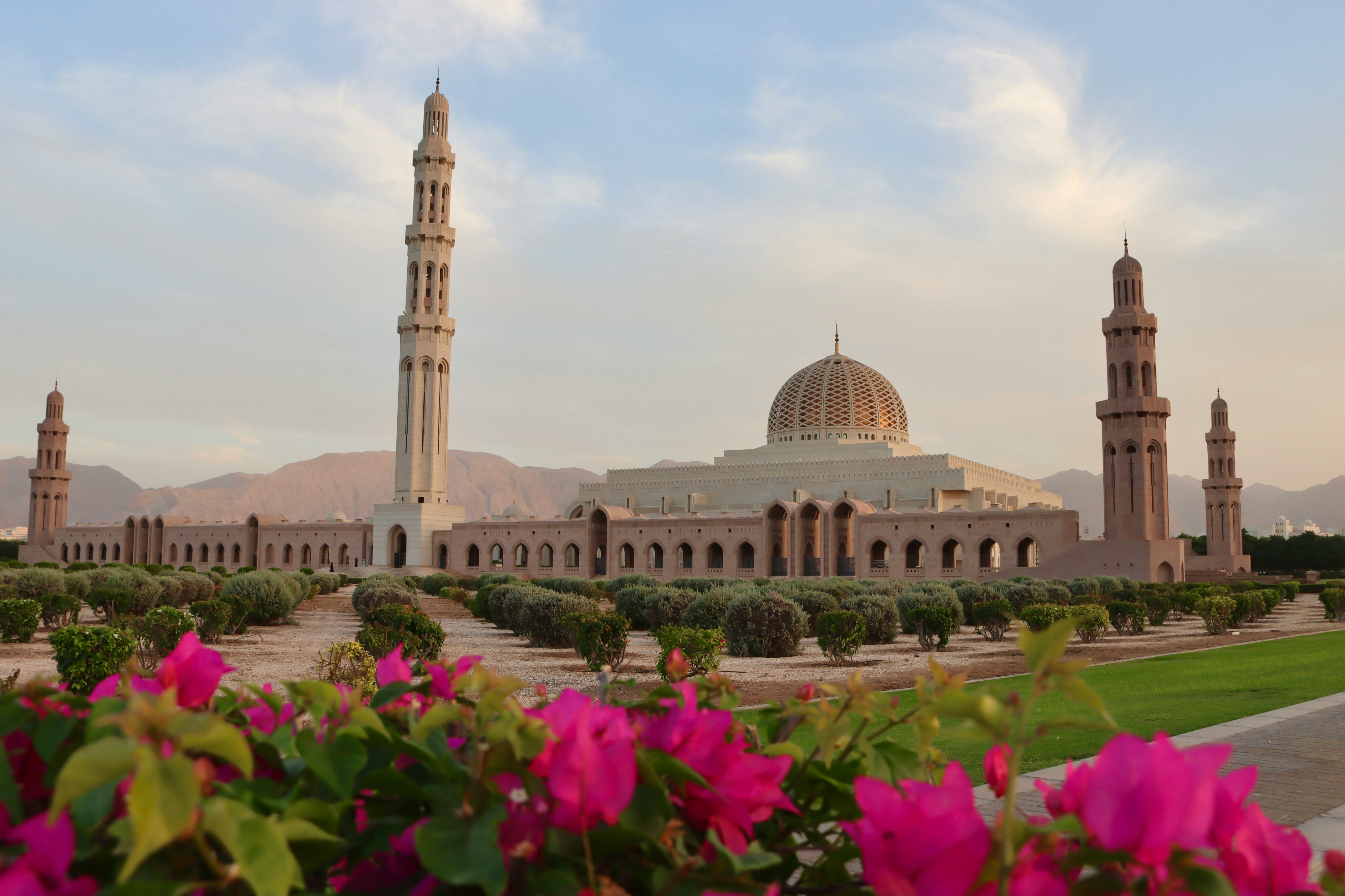 Muscat